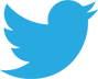 blue twitter bird